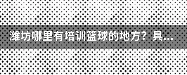 青少年篮球爱好者综合训练方案_1